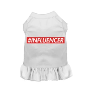 #INFLUENCER