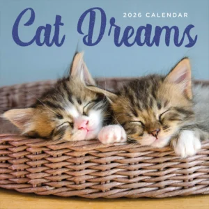 2026 Cat Dreams Wall Calendar