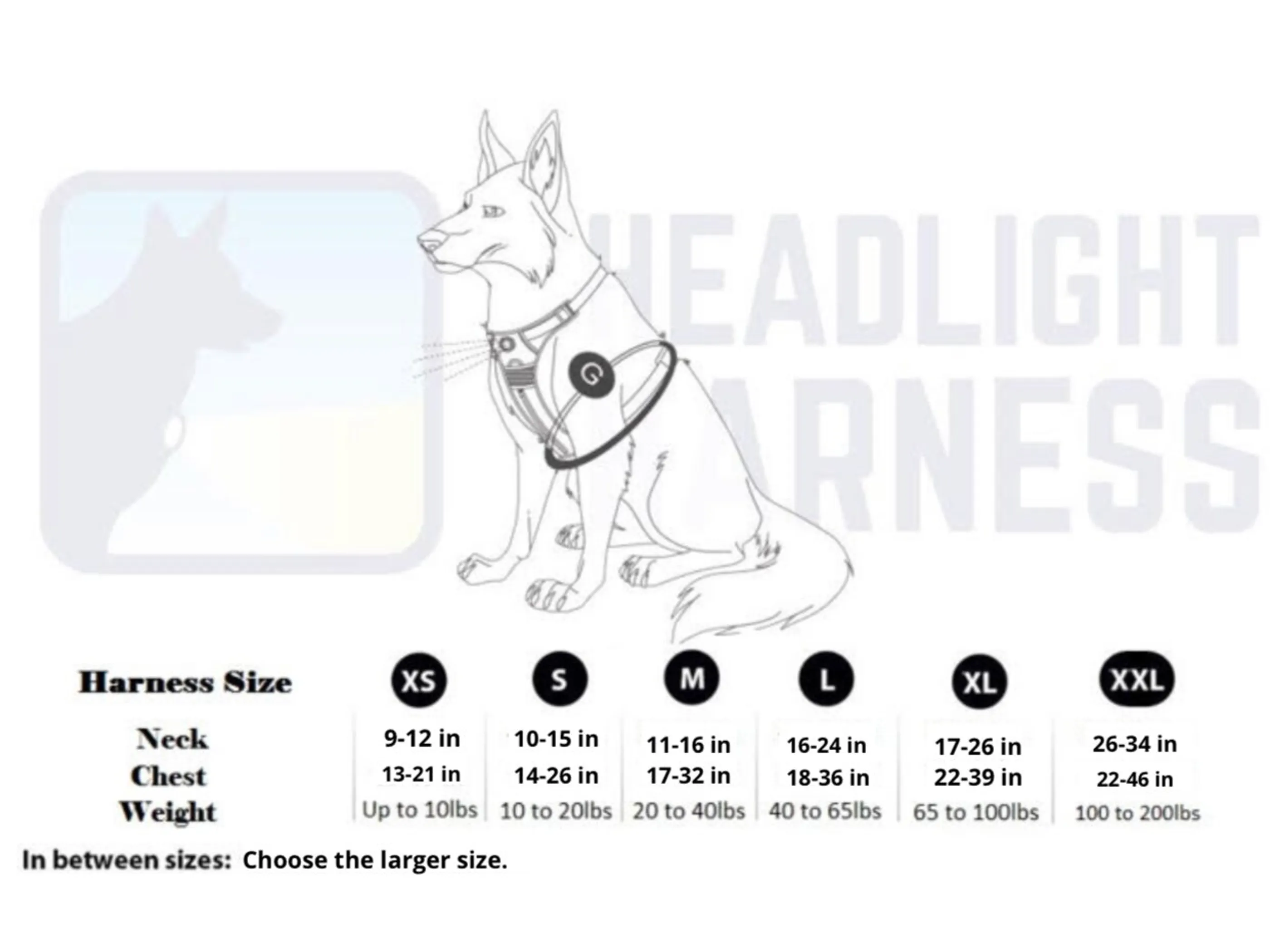 Headlight Harness, Dog Harness with Built In LED Light - Image 4