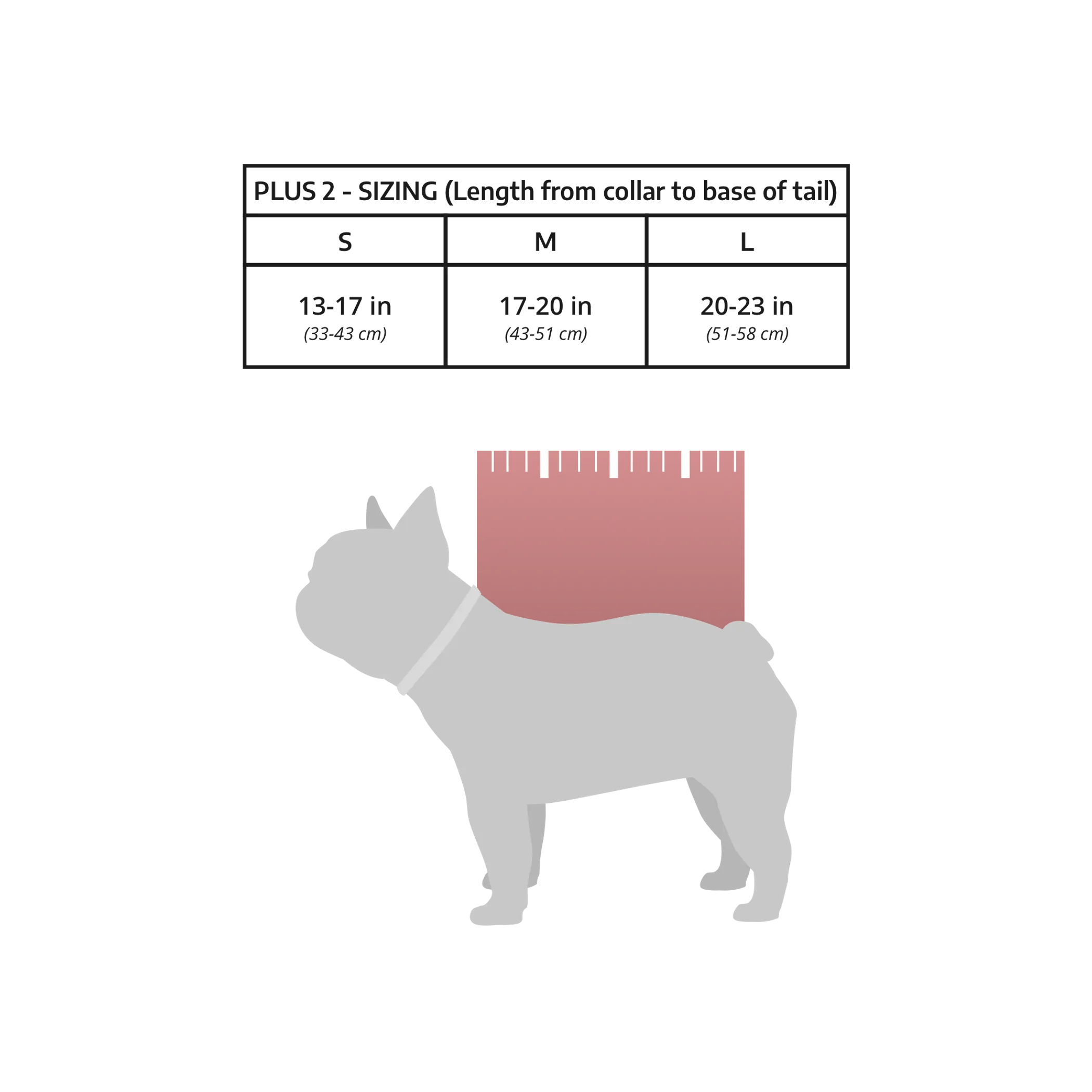 K9 Sport Sack PLUS 2 - Image 4