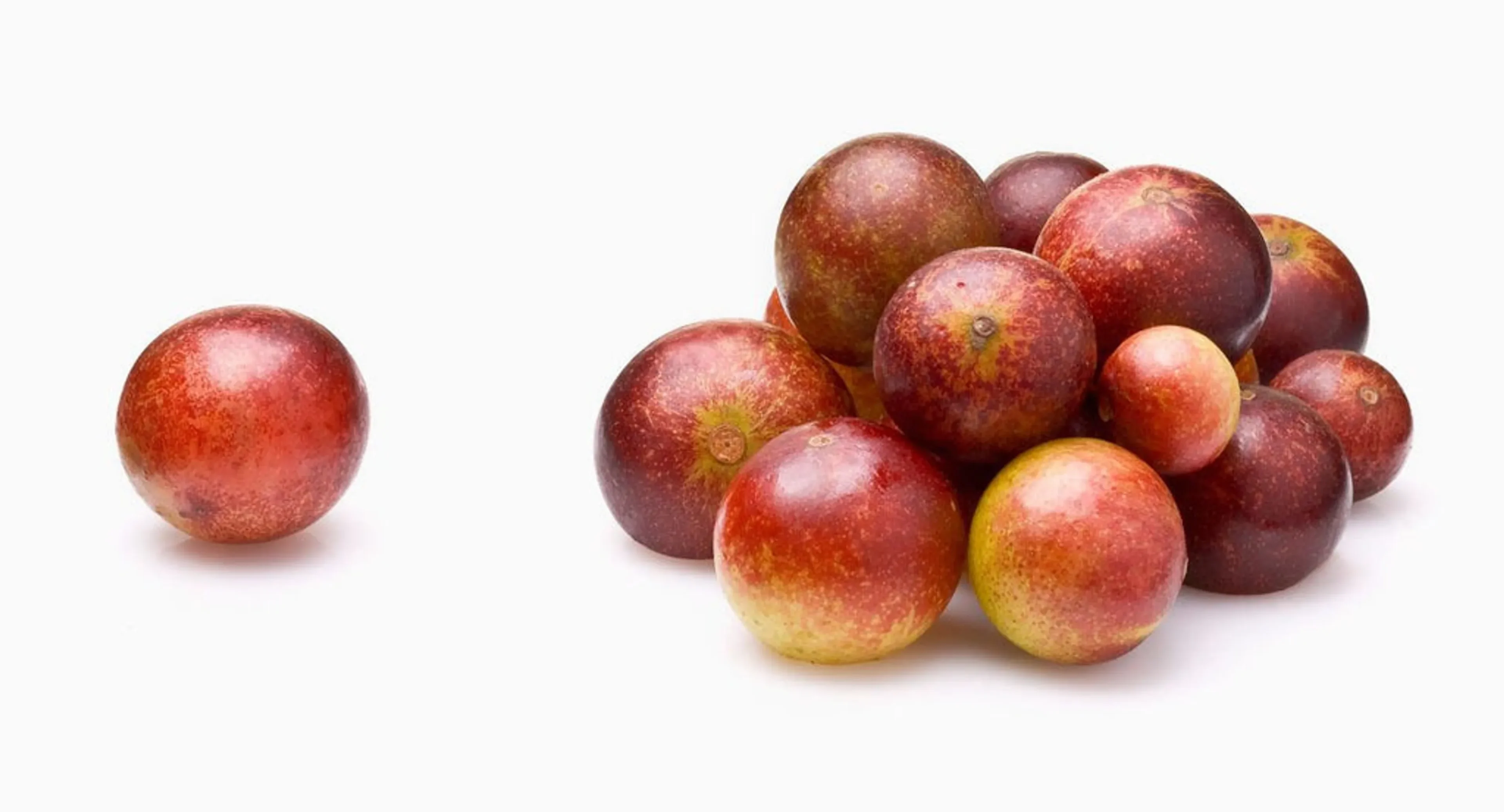 Camu Camu Extract Joint Teeth & Eye Support* The Petz Kitchen - Organic Human Grade Ingredients For Home Prepared Meals & Treats - Image 3