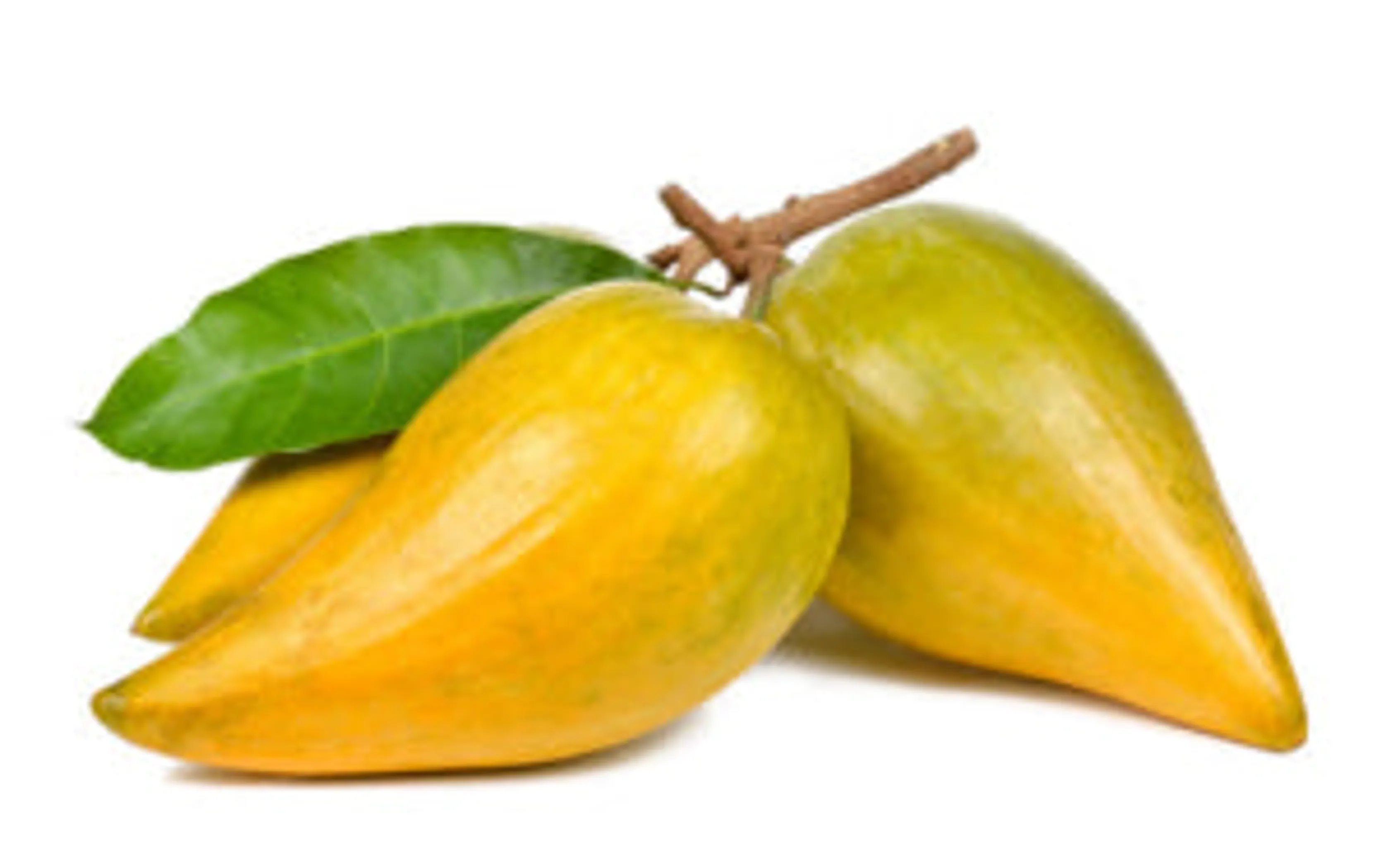 Lucuma Powder - Glycemic Glucose & Digestive Support* Antioxidant Usda Organic Super Food & Fruit The Petz Kitchen - Image 3