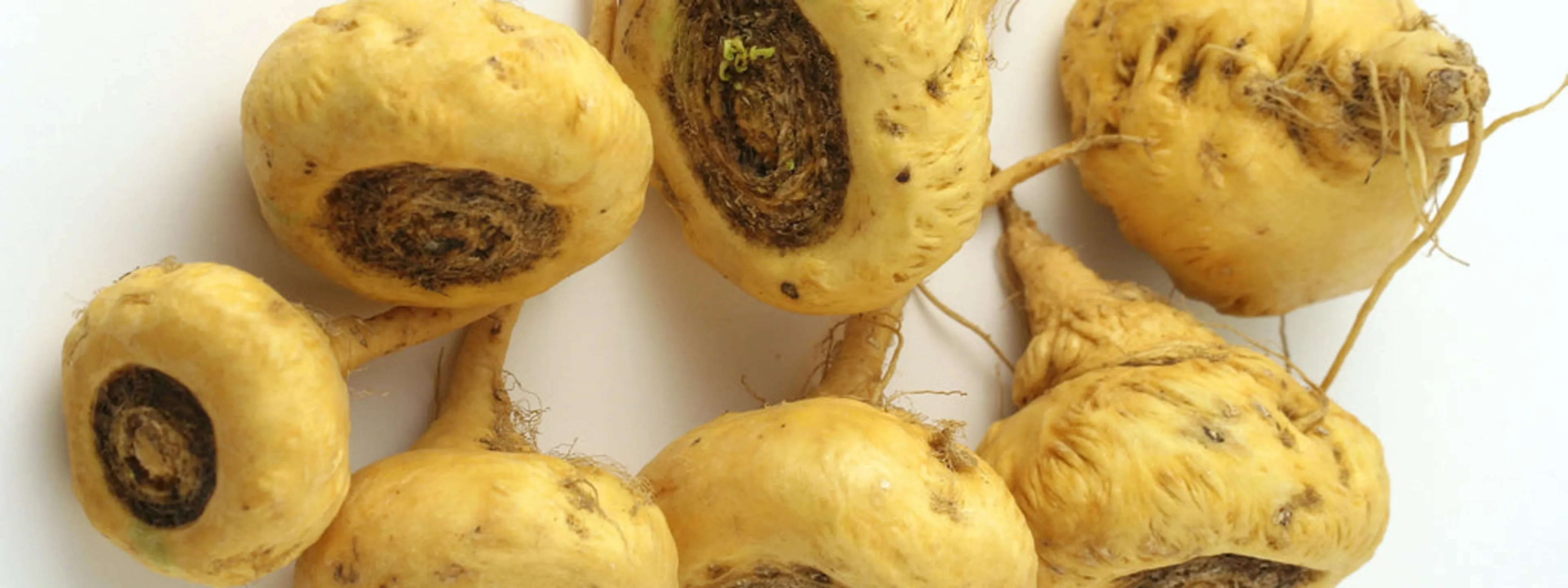 Yellow Maca* Complete Protein & Cognitive & Glandular Support* The Petz Kitchen Organic & Human Grade Ingredients For Home Prepared Meals & Treats* - Image 3