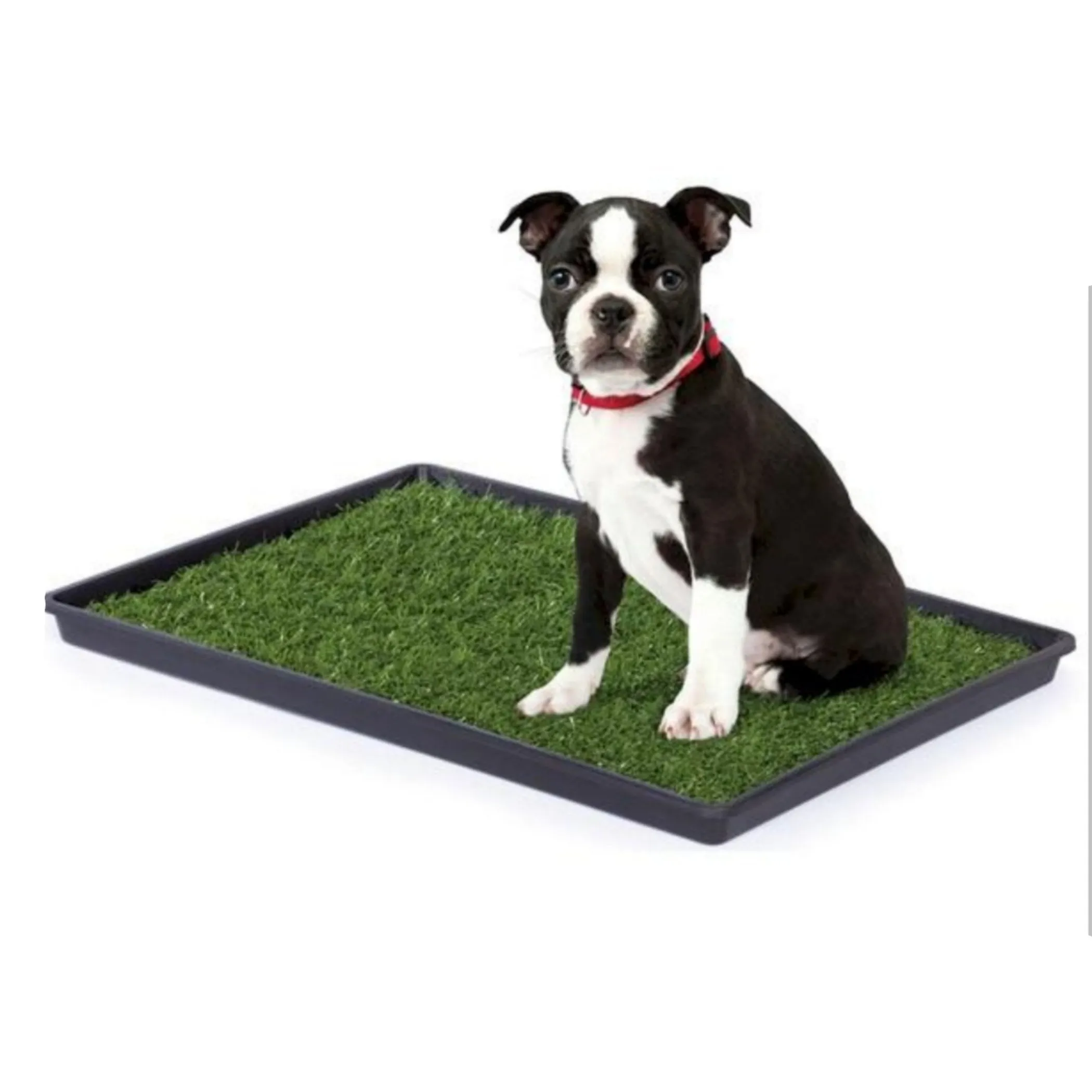 Mr. Peanut's Potty Place - Artificial Grass Puppy Pad for Dogs and Small Pets - Image 3
