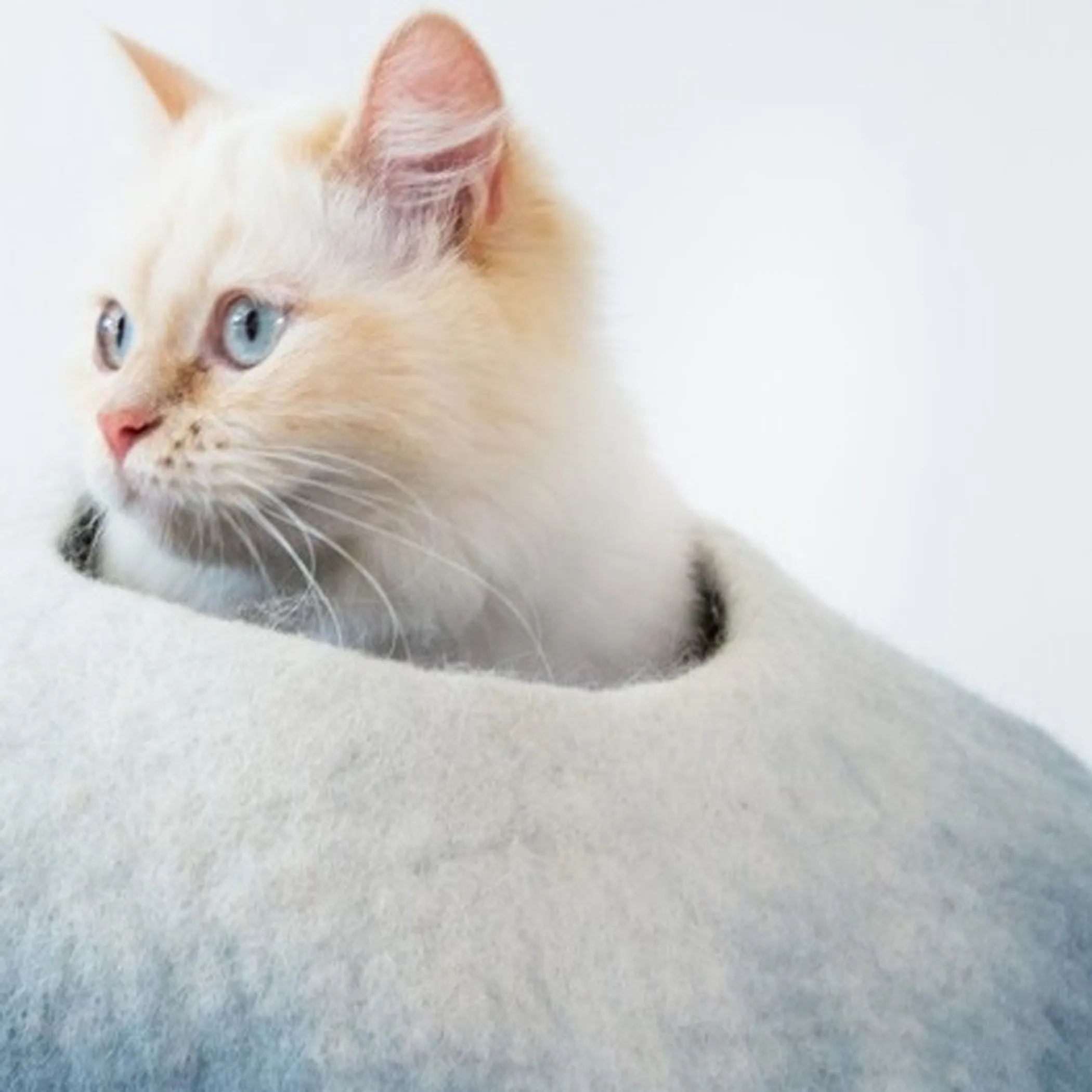 Sky Blue and White Cat Cave Bed - Image 3