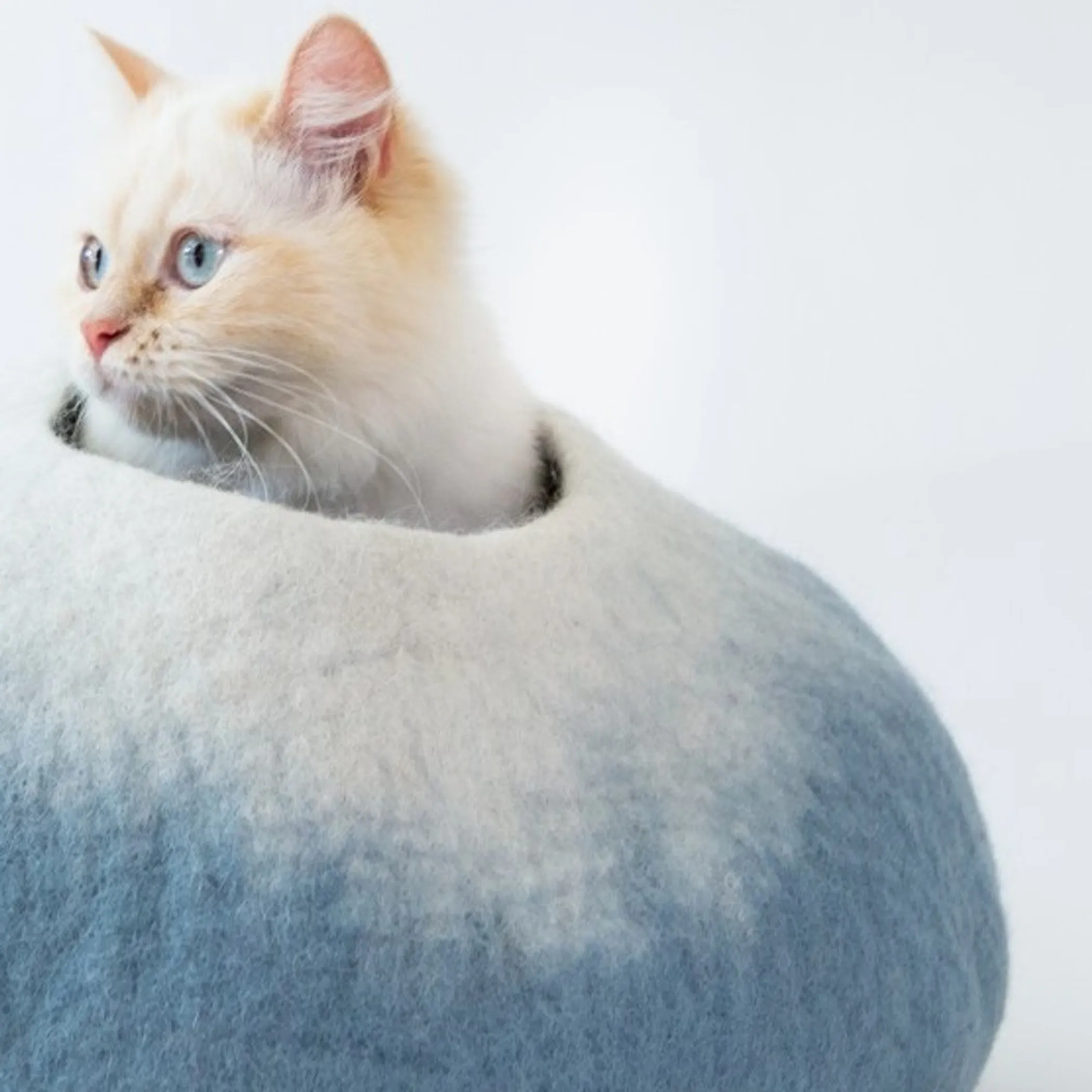 Sky Blue and White Cat Cave Bed - Image 4