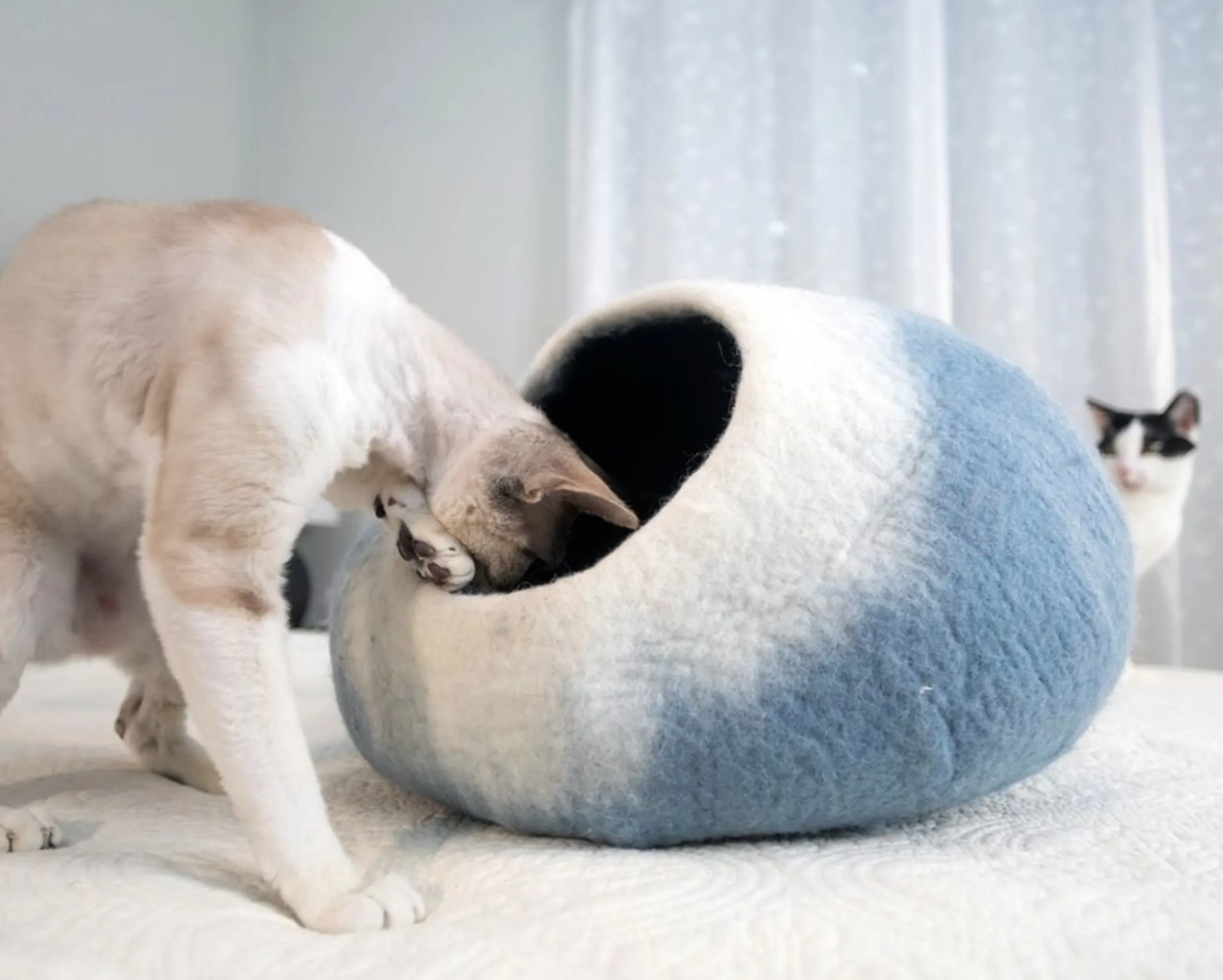 Sky Blue and White Cat Cave Bed - Image 5