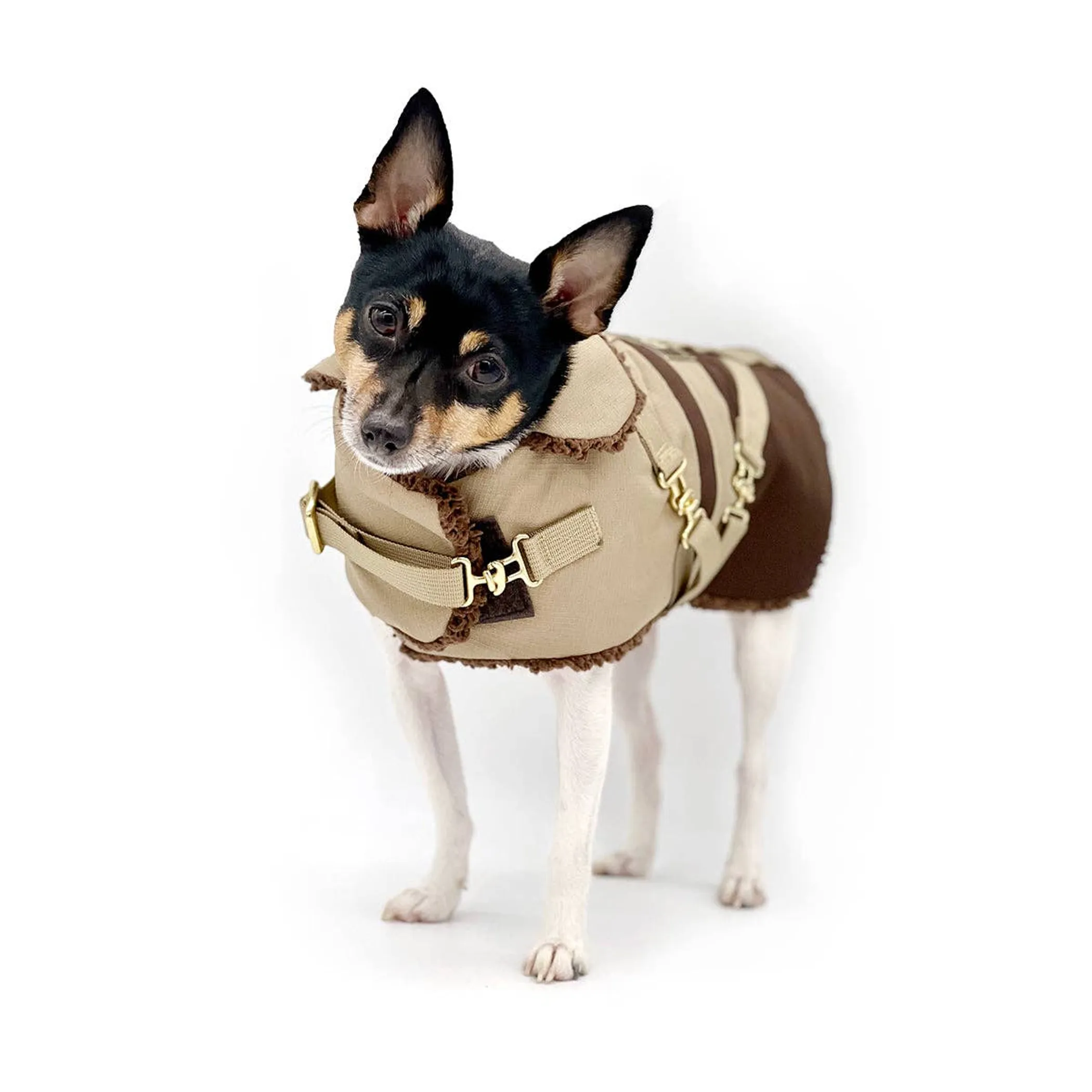 "Classic Mocha Latte" - DCNY Equestrian Collection - Image 5
