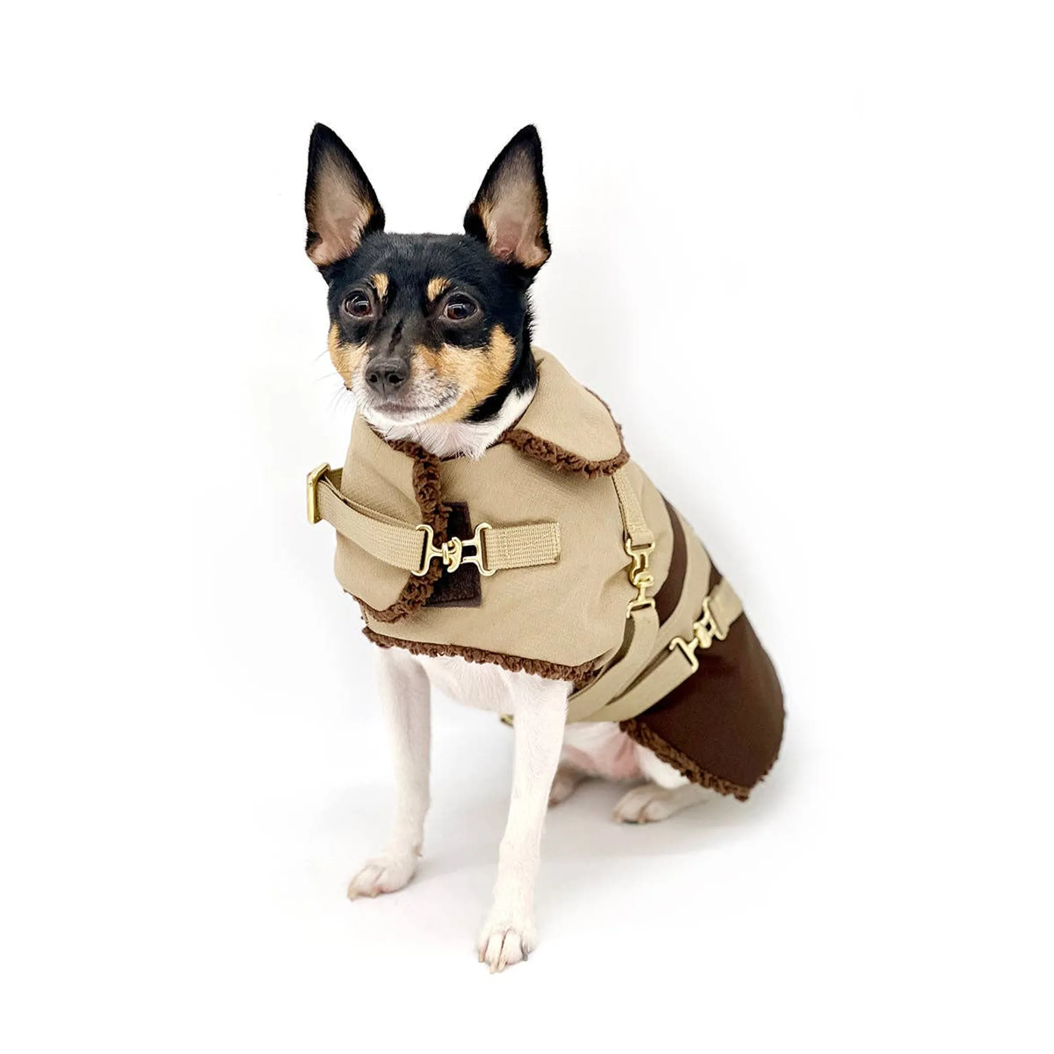 "Classic Mocha Latte" - DCNY Equestrian Collection - Image 2