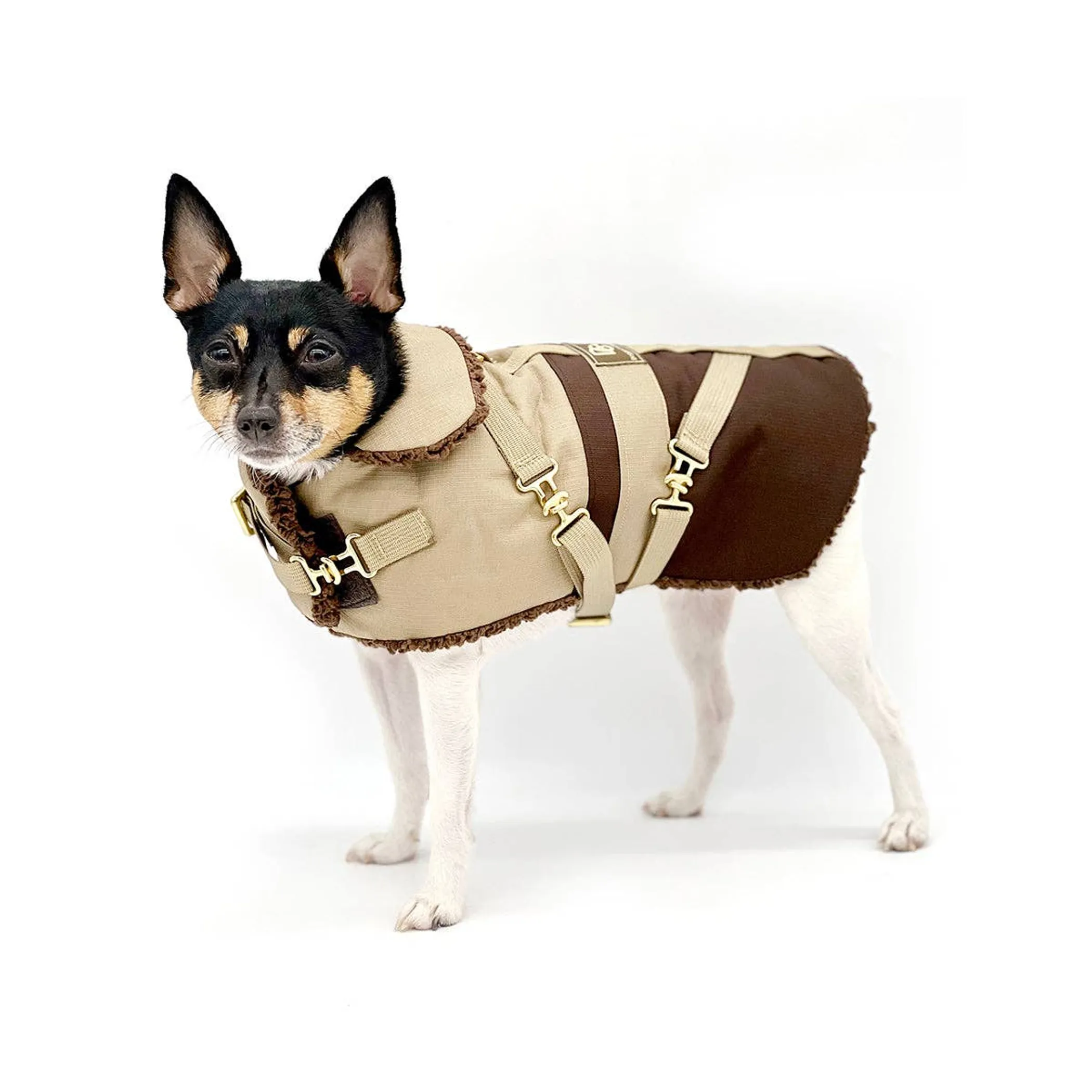 "Classic Mocha Latte" - DCNY Equestrian Collection - Image 3