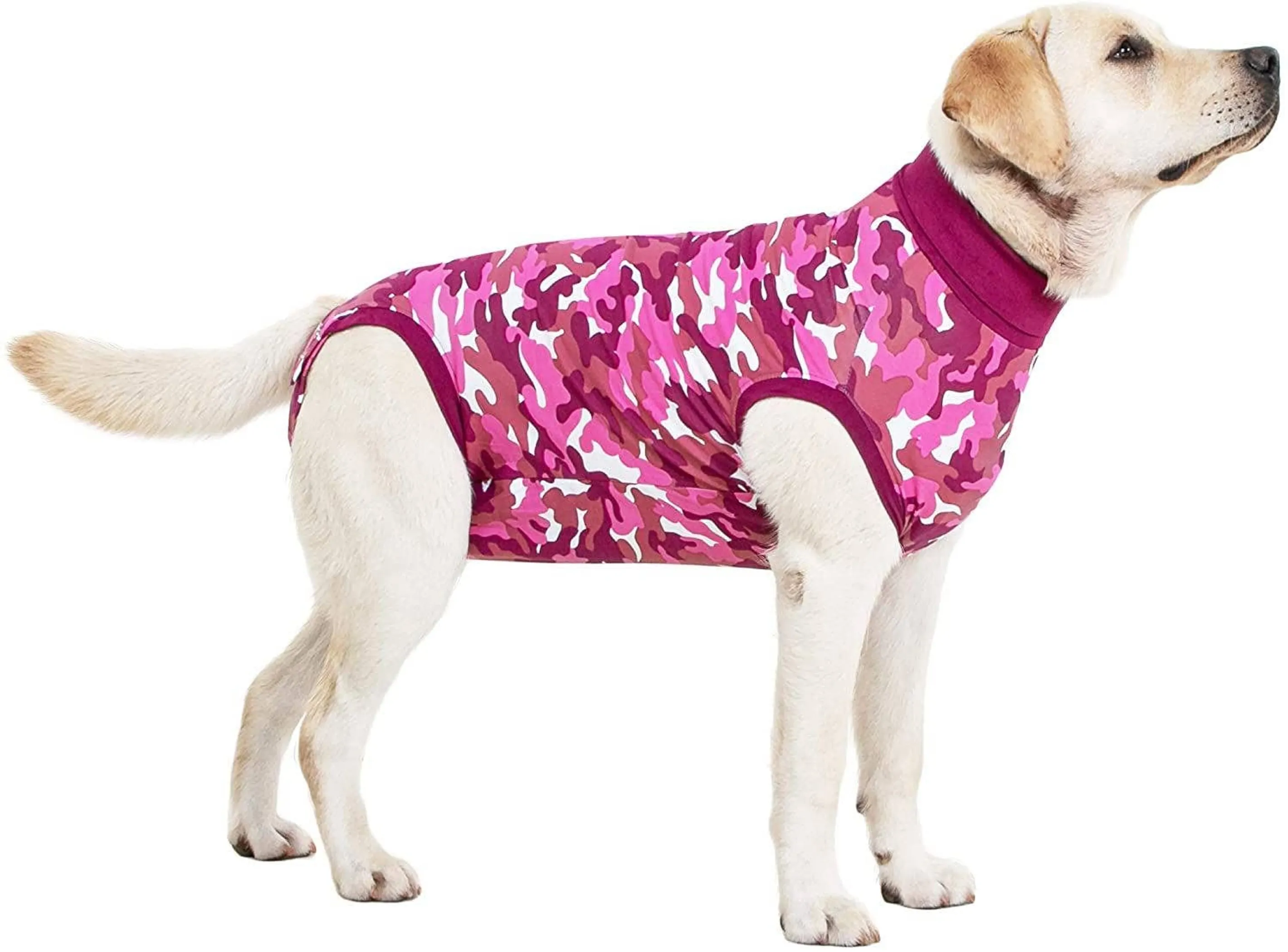 Suitical Dog Recovery Suits - Image 2