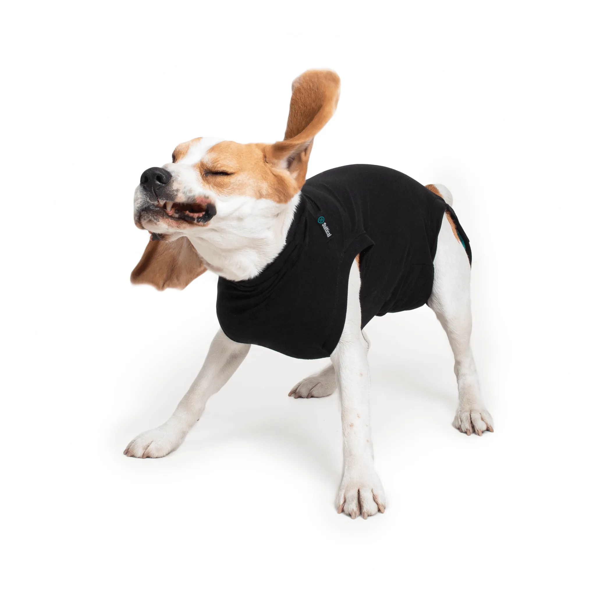 Suitical Dog Recovery Suits - Image 4