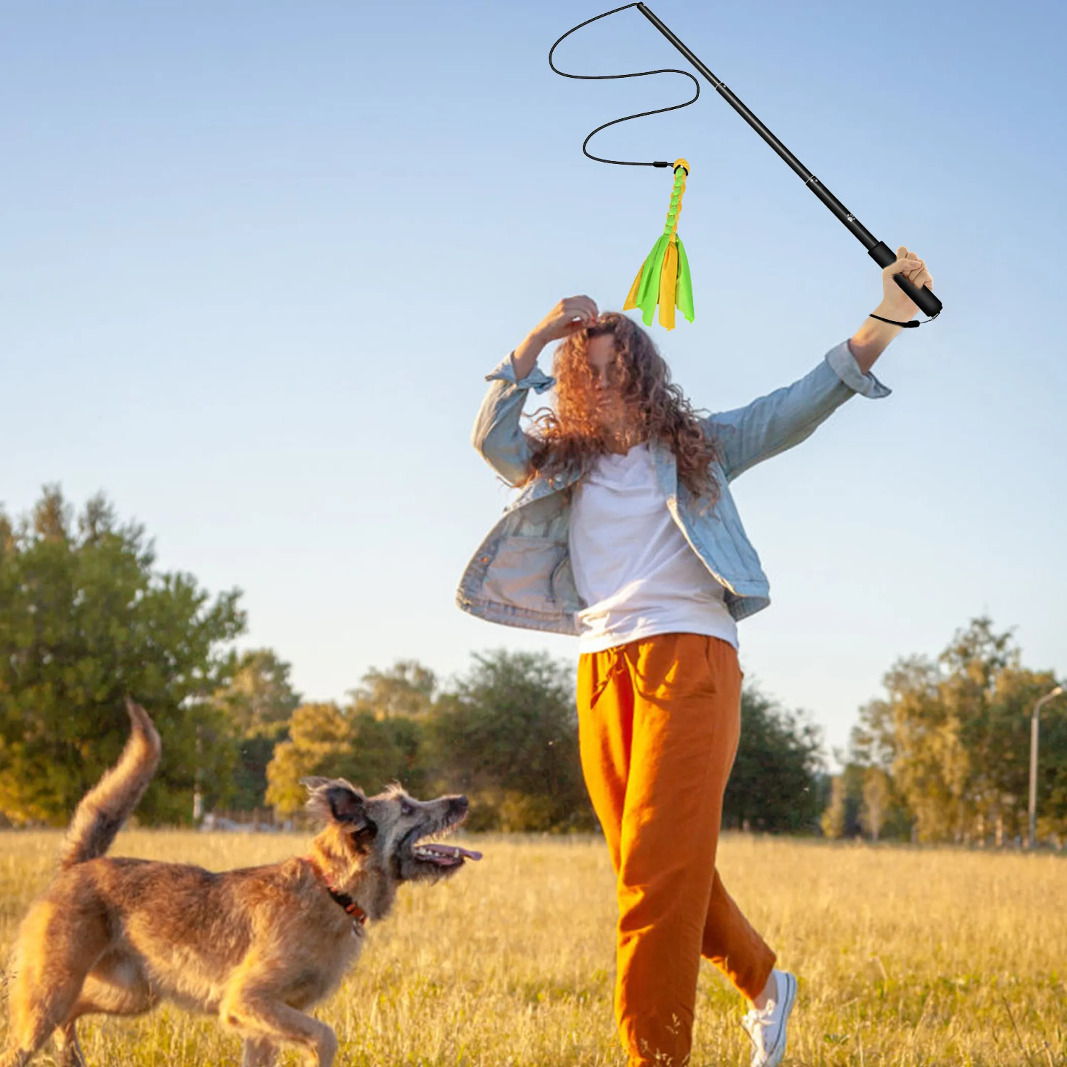 Extendable Dog Flirt Pole - Image 2