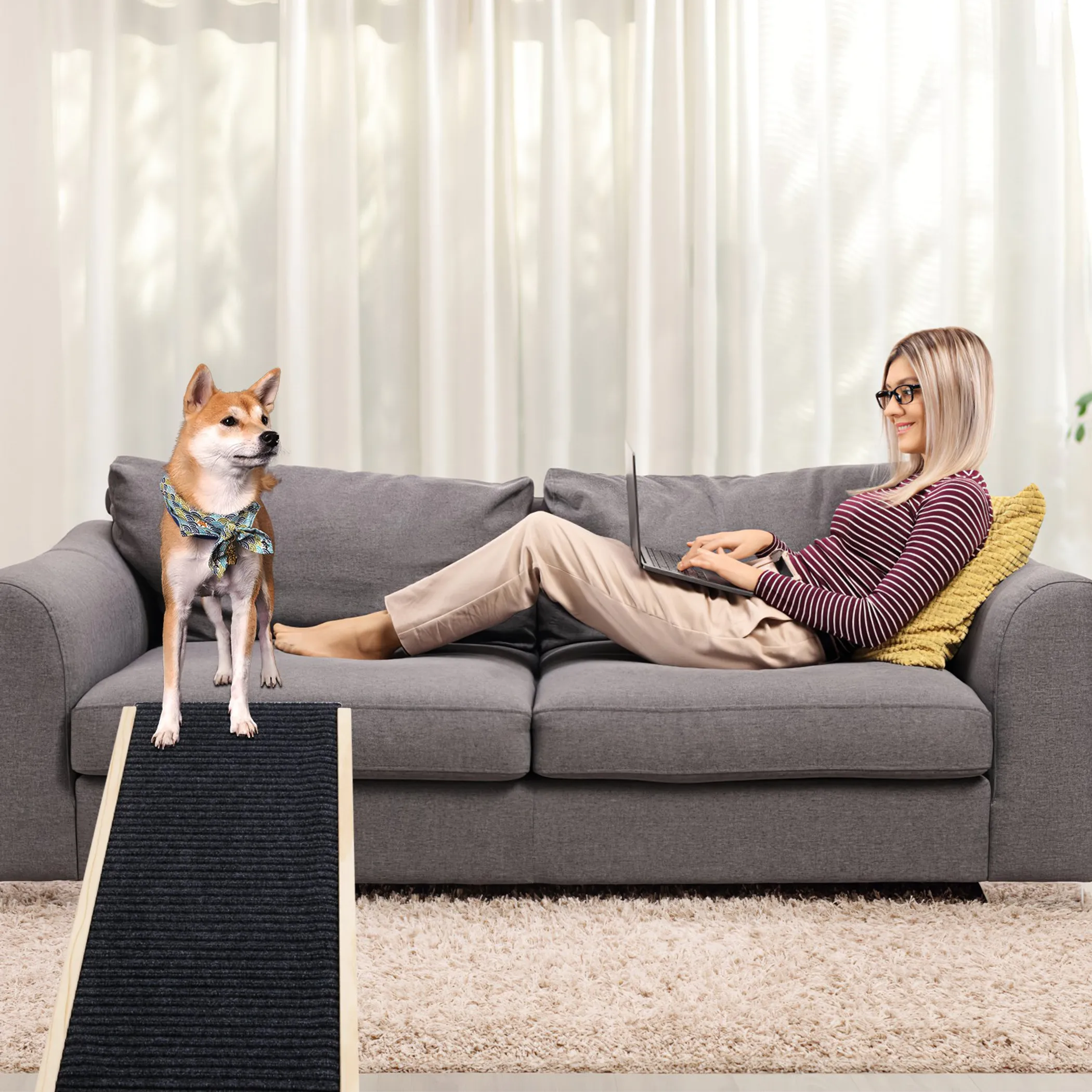 Foldable Wooden Dog Ramp - Image 2
