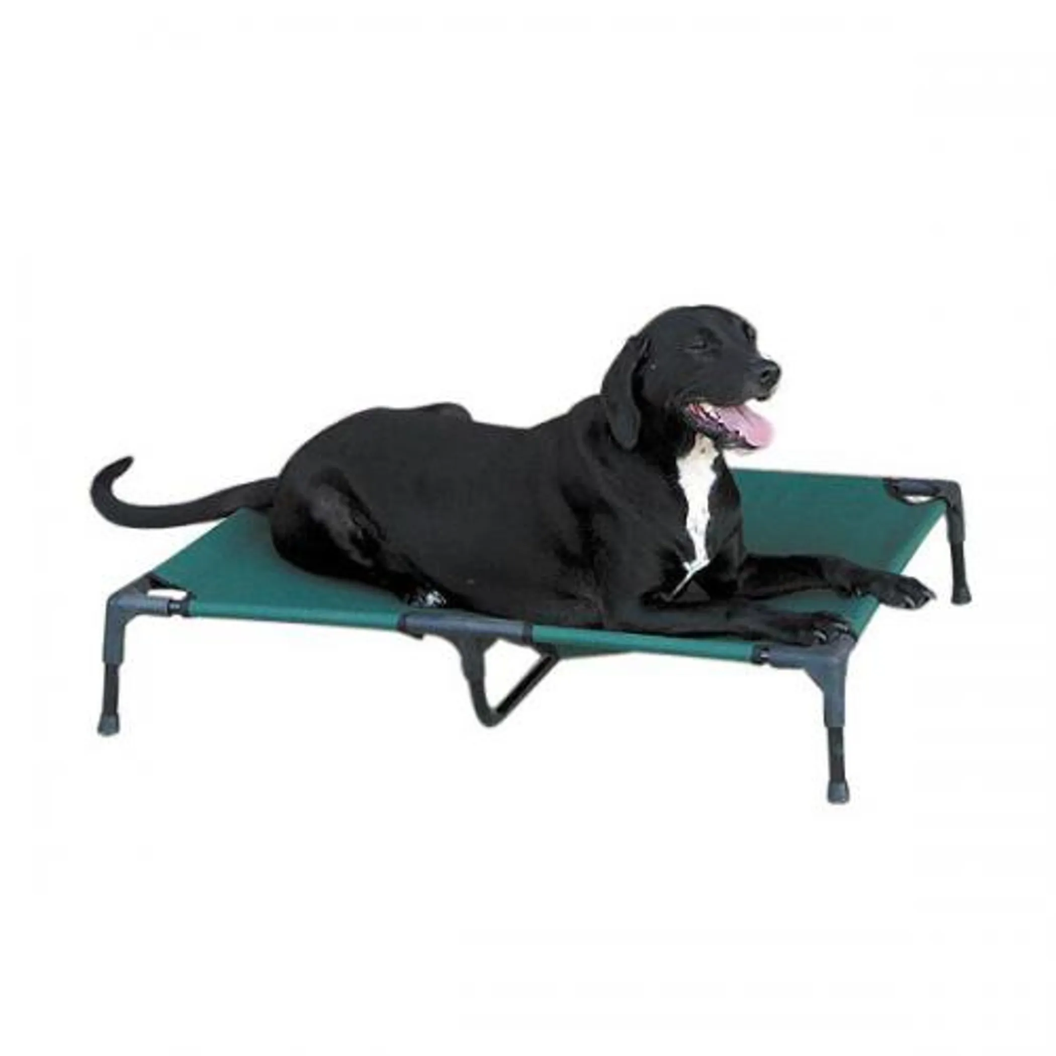Guardian Gear Pet Cot - Image 3