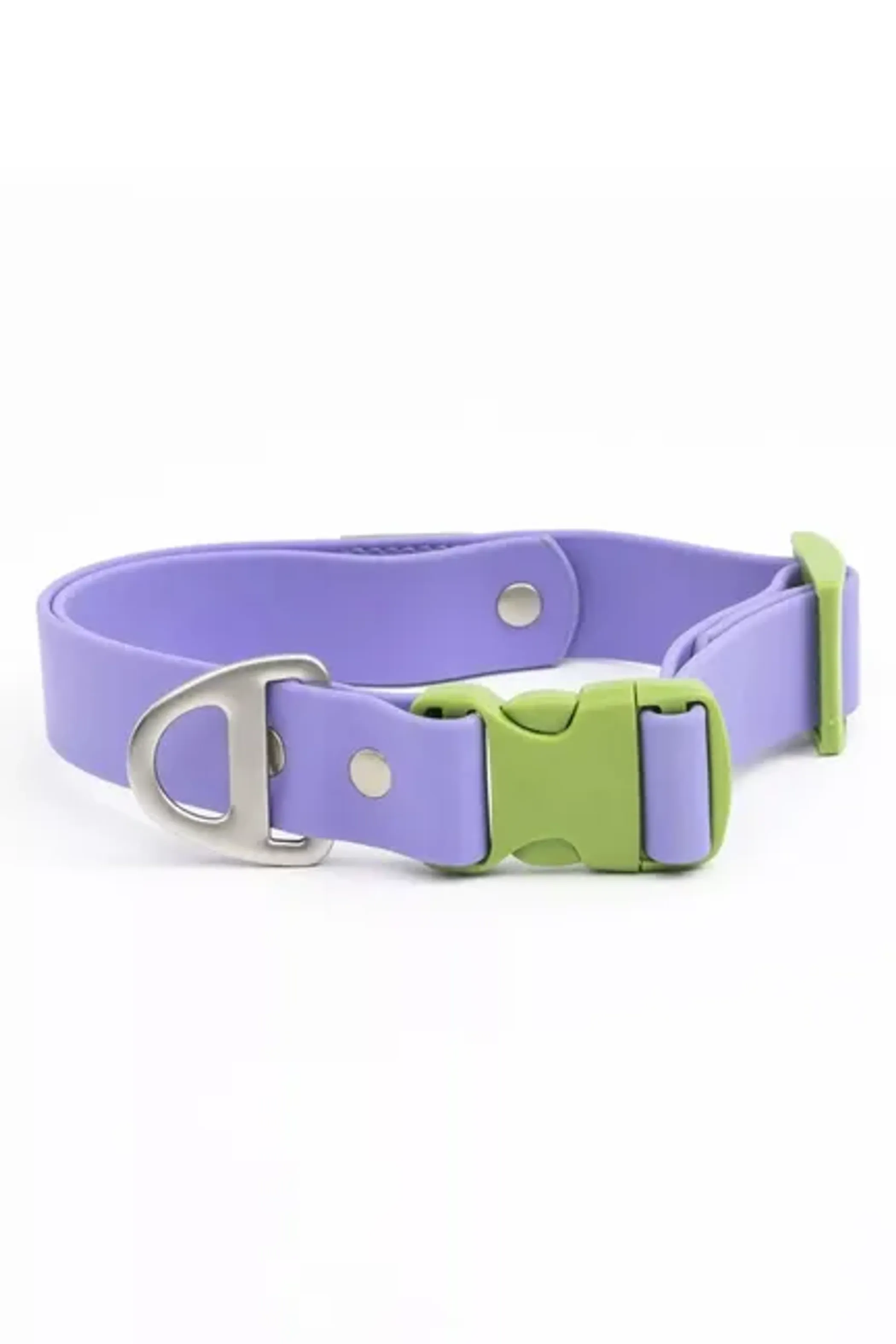 Lavender Garden Waterproof Dog Collar - Image 2