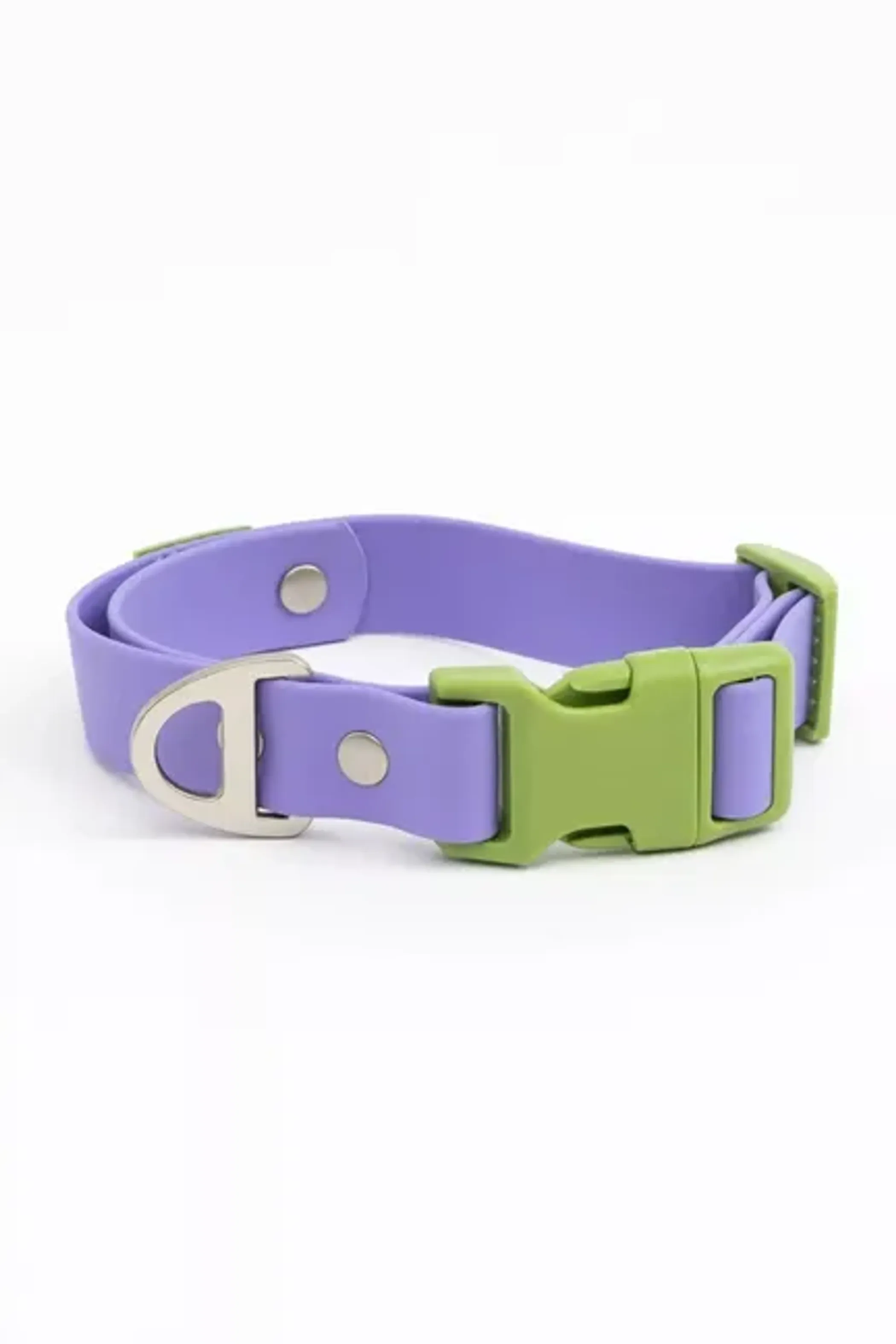 Lavender Garden Waterproof Dog Collar - Image 4