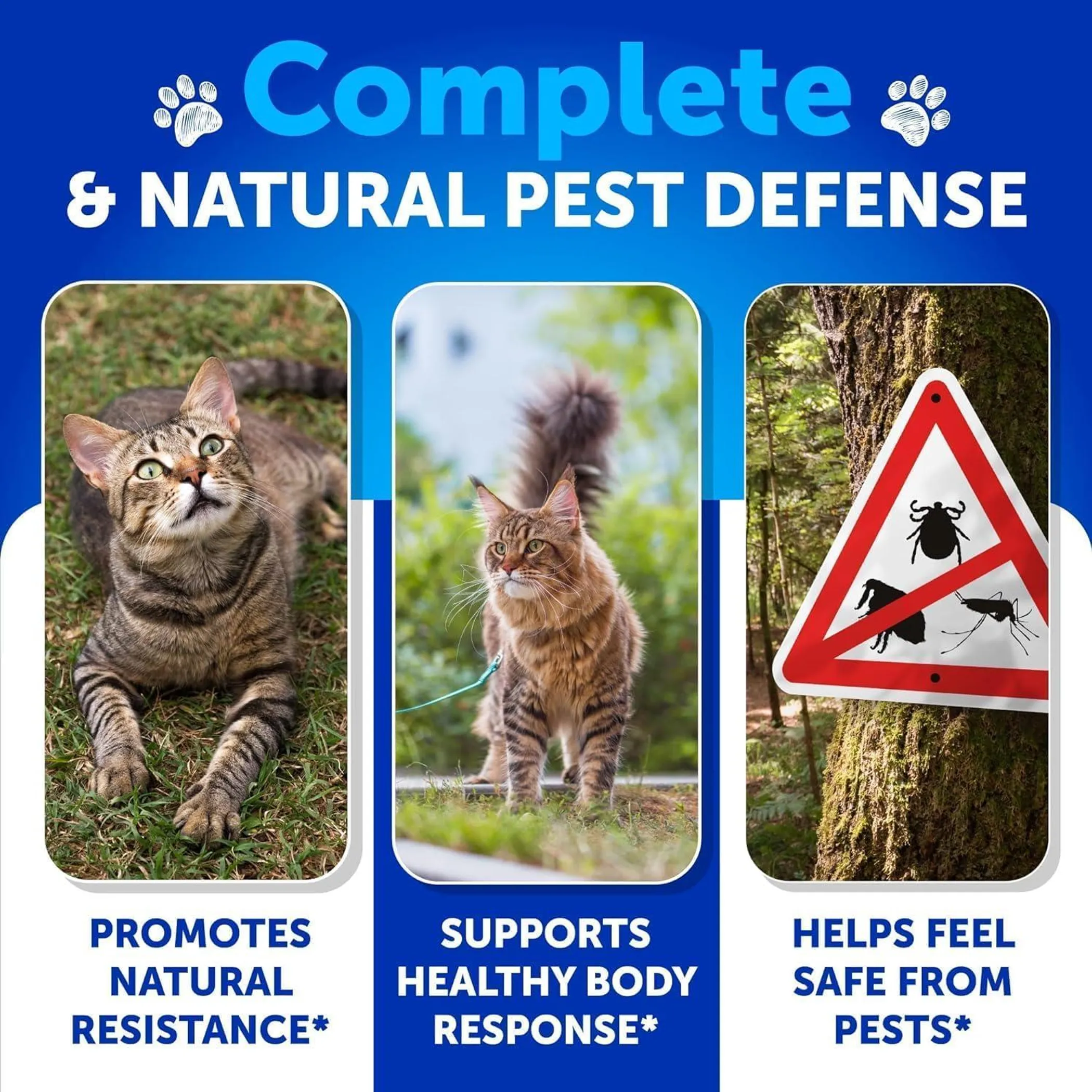 Flea Treatment for Cats Natural Flea and Tick - Image 3